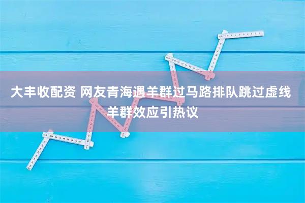 大丰收配资 网友青海遇羊群过马路排队跳过虚线 羊群效应引热议