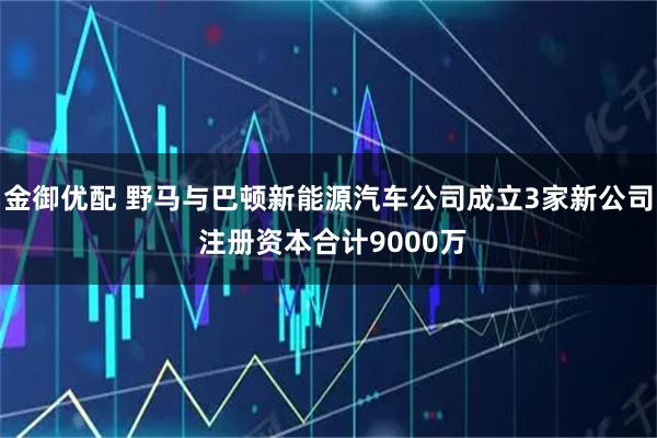 金御优配 野马与巴顿新能源汽车公司成立3家新公司 注册资本合计9000万